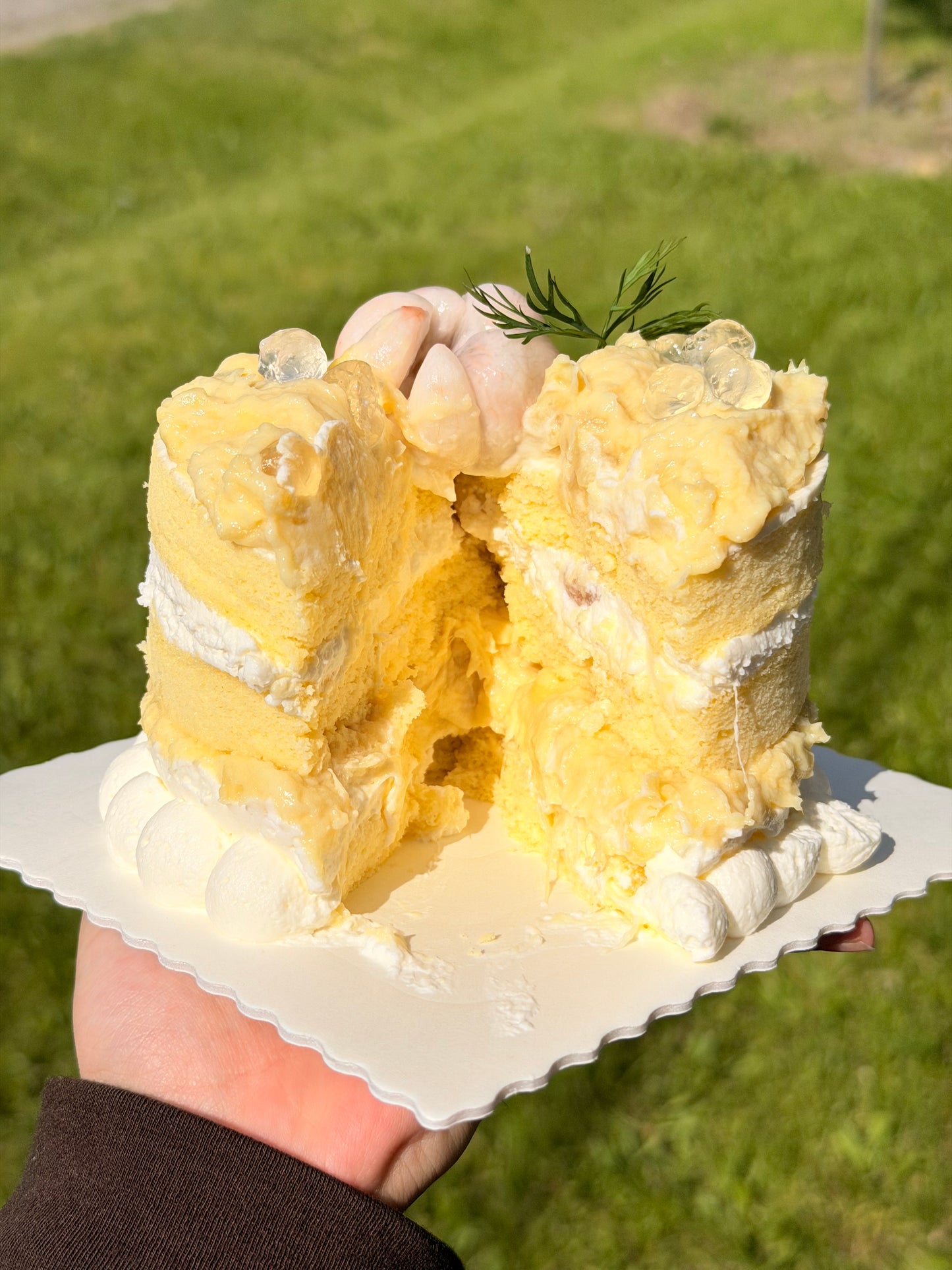 
                  
                    Mangosteen & Durian Cake - 山竹榴莲
                  
                