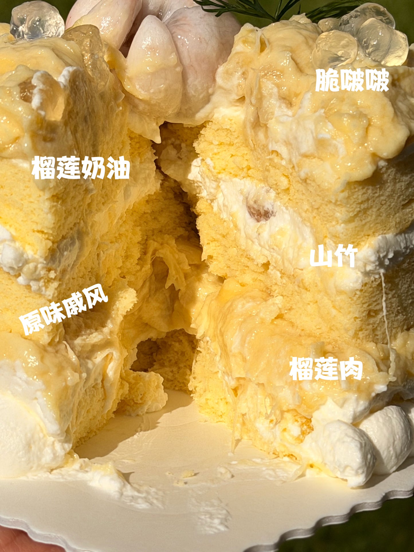 
                  
                    Mangosteen & Durian Cake - 山竹榴莲
                  
                